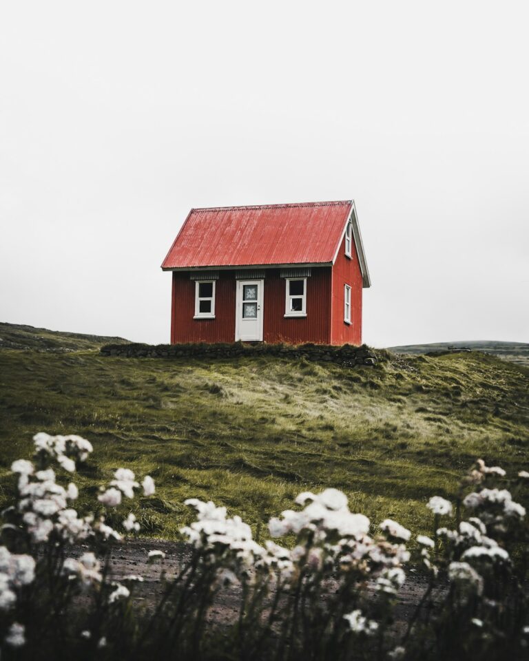 Forest cottage with mineral spring