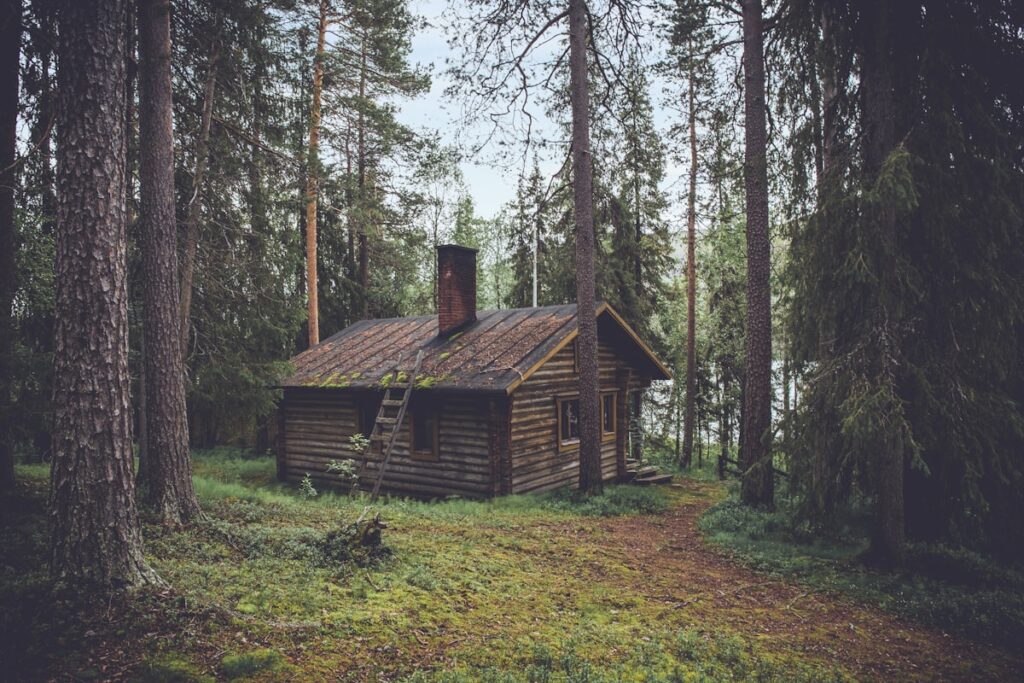 Wooden retreat near Borjomi park