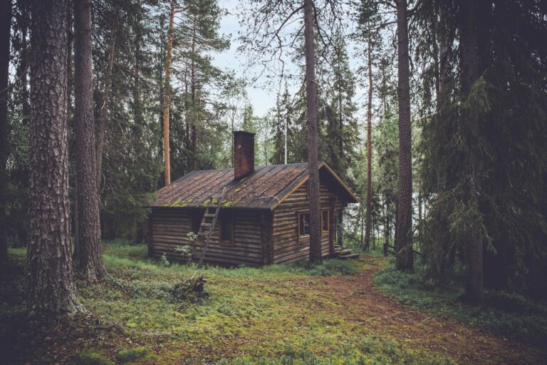 Wooden retreat near Borjomi park